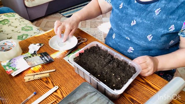 Сажаю петунию и перец.Неохота ничего делать.#сажать #петуния #перец смотреть онлайн