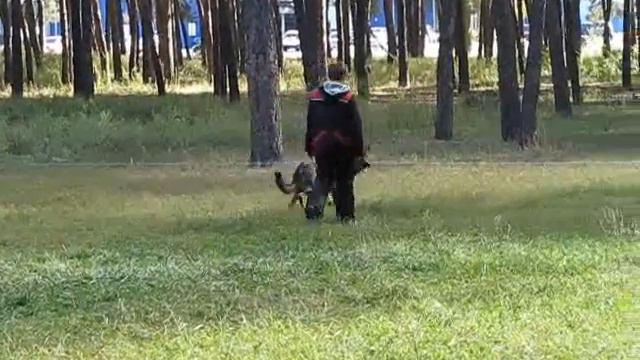 Рэ StPr 1 смотреть онлайн