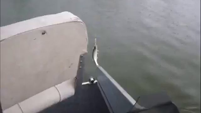 My fishing trip with my Family смотреть онлайн