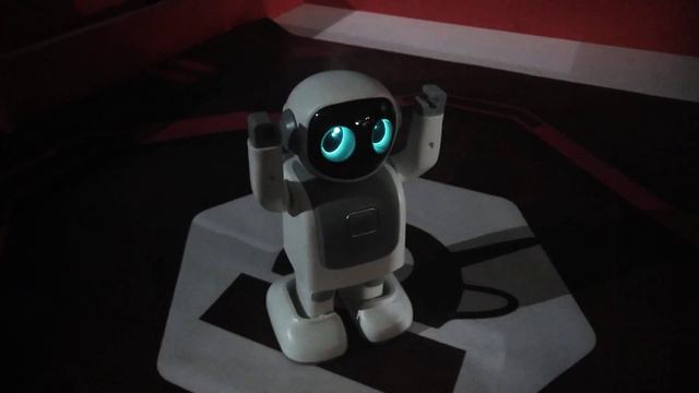 🤖 РобоПарк. Павел о Роберте😊. Робот Роберт - танцор 🕺из Китая 🤖