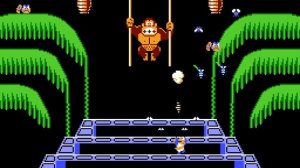 Donkey Kong 3 (NES)||