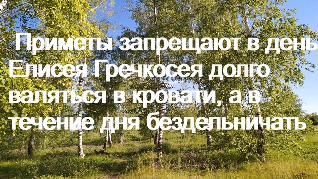 27 июня – Елисей Гречкосей. смотреть онлайн
