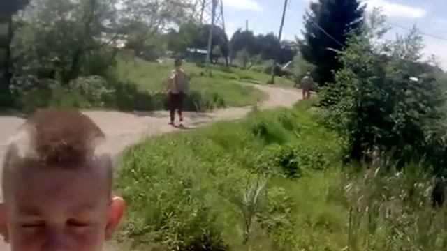 прогулка по лесу