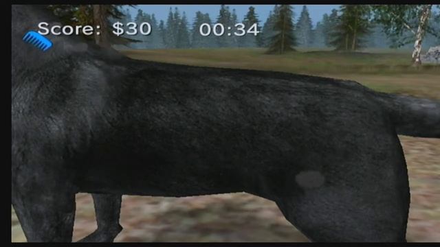 North American Hunting Extravaganza 2 - Challenges: Dog De-matting смотреть онлайн