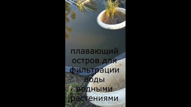 Летнее очарование маленьких прудиков. смотреть онлайн