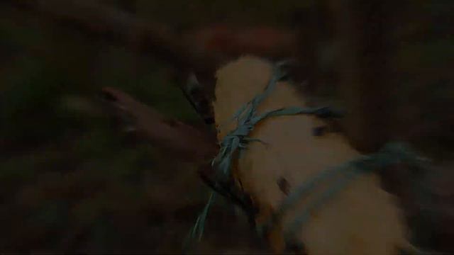 Dreaming Of Flies: Meaning And Interpretation смотреть онлайн