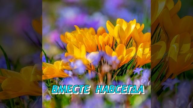 ВМЕСТЕ НАВСЕГДА