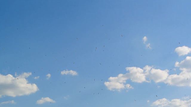 Мой спиннинг и фидер на Москва реке смотреть онлайн