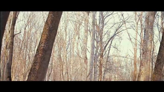 Run / I've NEVER Fallen Off смотреть онлайн