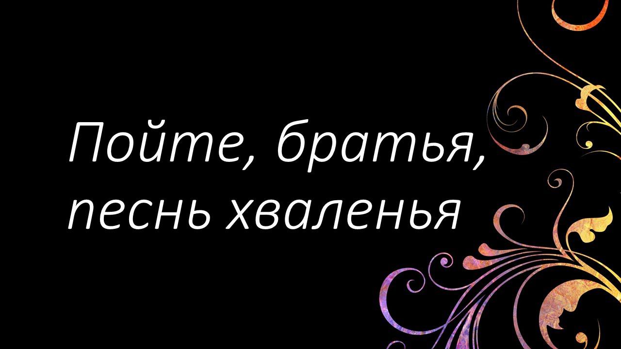 41 Пойте, братья, песнь хваленья | Гимны Надежды | Светлана Малова смотреть онлайн