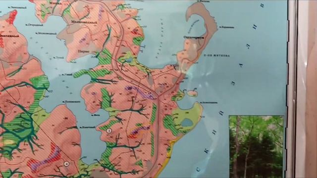 Ландшафтная карта острова Русский, к ВЭФ 2022 смотреть онлайн