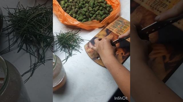 Загадочная Поваренная Книга