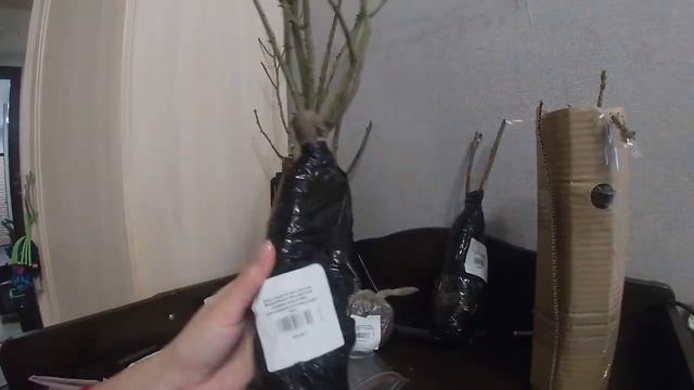 Агро-маркет24. Отзыв о товаре. смотреть онлайн