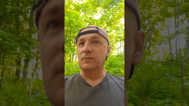 Языковый вопрос, або мовне питання.