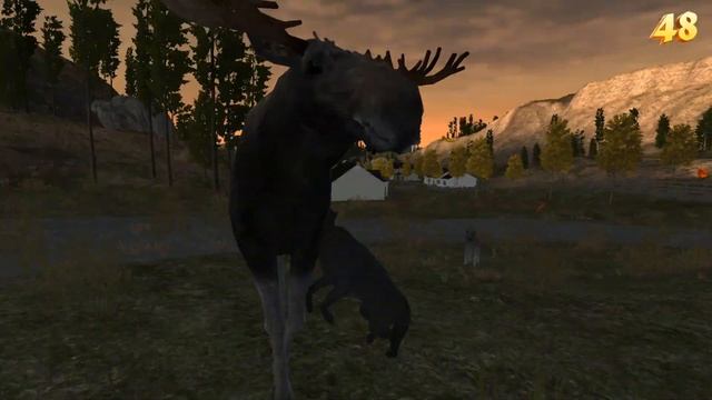 УБИЛИ 100 САМЦОВ ЛОСЯ | WolfQuest 2.7.3 смотреть онлайн