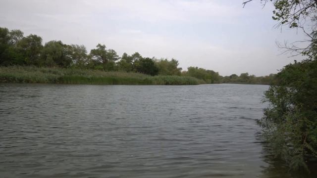 закрытие лета/рыбалка продолжается/лодка НДНД/лодка ПВХ/ лодка Риф скат/мотор yamaha смотреть онлайн