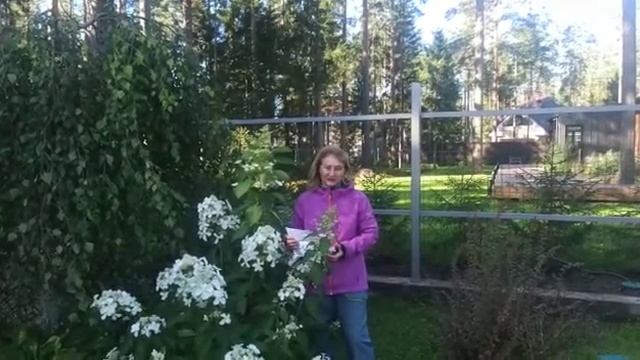 ? ДАРИМ онлайн-курс «Правила здорового и малоуходного сада"! смотреть онлайн