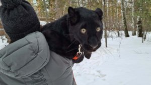 ?Радуемся последнему снегу❄️/Луна не хочет идти домой после прогулки