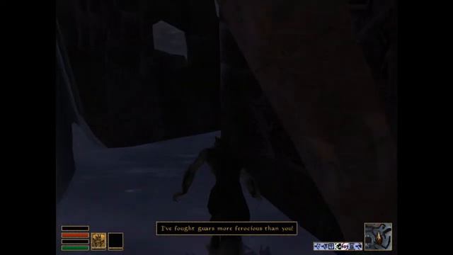 Morrowind: Bloodmoon Walkthrough Part 7 смотреть онлайн