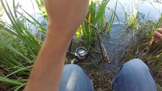 black bass à vue #1 смотреть онлайн
