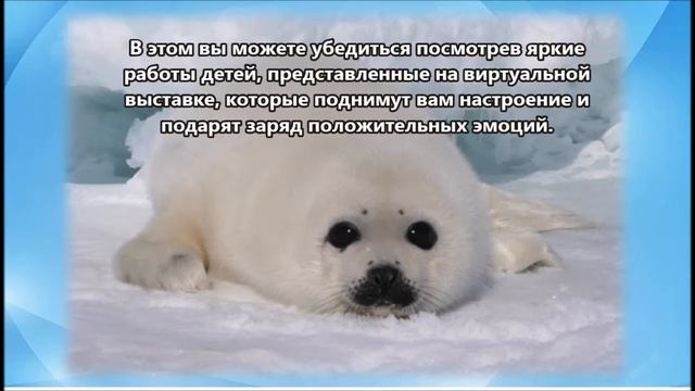 День Нерпёнка! смотреть онлайн