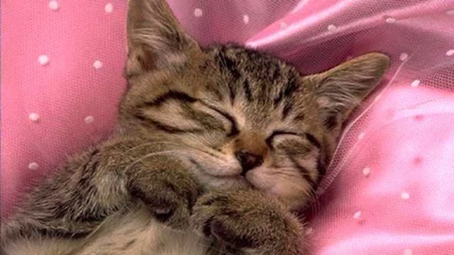 Музыка для физкультуры. Красивая лирическая музыка.... смотреть онлайн
