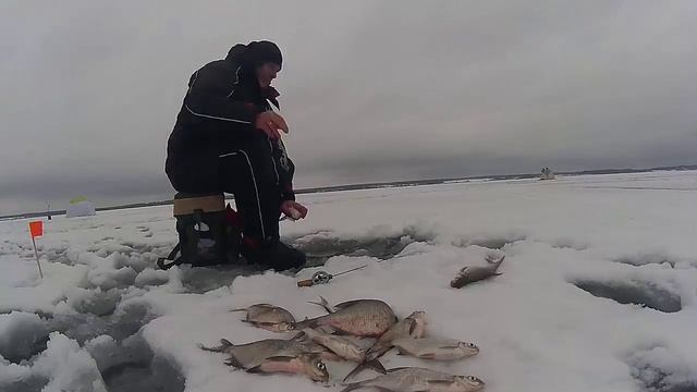 Зимняя рыбалка. Отчет с рыбалки 30.01.2016. Рузское водохранилище (в районе д. Фролково) смотреть онлайн