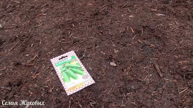 Готовлю обед/Сонное царство/В огороде/Семья Жуковых 25.05.2018 смотреть онлайн