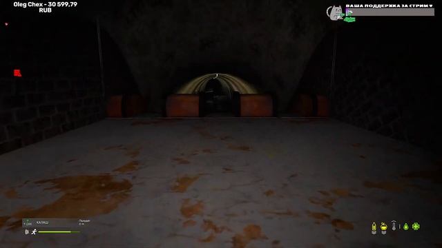 METRO 2033 RP DAYZ / МЕТРО 2033 РП / ОБЖИВАЕМСЯ смотреть онлайн