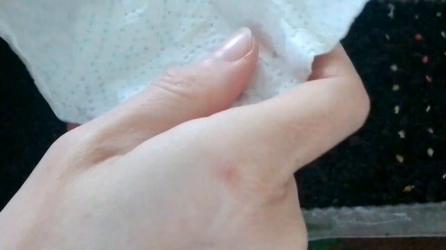 СЕЕМ ТОМАТЫ 2023. Как посеять ТОМАТЫ на рассаду.