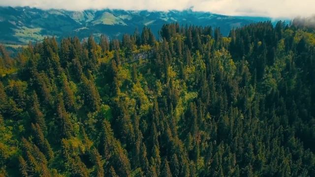 Успокаивающая музыка для релаксации ? Расслабляющая фортепианная музыка, музыка для сна, медитация