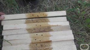 Двухплоскостная шпалера для винограда своими руками. Просто и недорого.