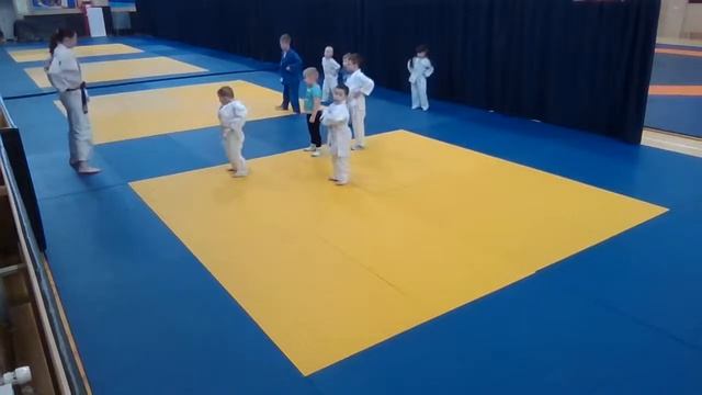 Тренировка младшей группы дзюдо 03.02.2022 (16:00) смотреть онлайн