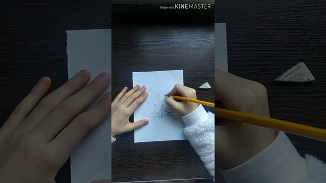 Как нарисовать черепашку? смотреть онлайн