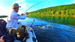 ТАКУЮ РЫБАЛКУ ОН ЖДАЛ 45 ЛЕТ  Рыбалка на Оке летом с SHARMAX Ловля на спиннинг