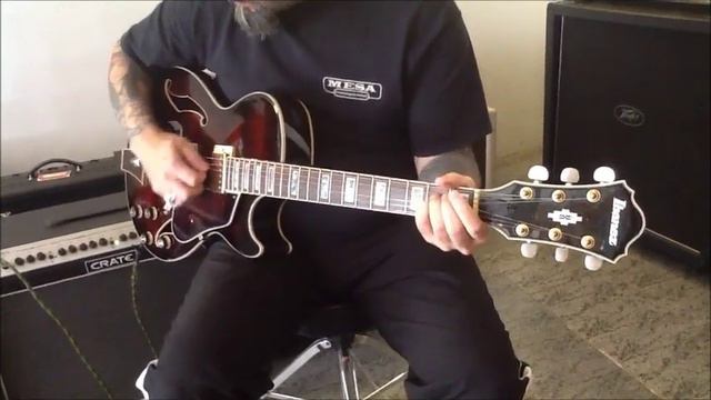 Guitarra Ibanez AG95 DBS