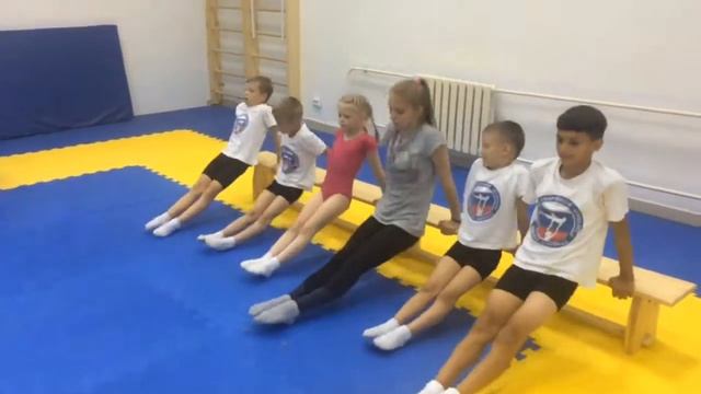 Видеоотзыв клиента (поставка товаров для спортивной гимнастики) смотреть онлайн