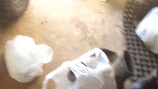 Где видео про квадроцикл????Месяц не будет видио про квадроцикл?? смотреть онлайн