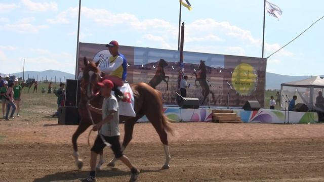 Представление лошадей чистокровных пород смотреть онлайн
