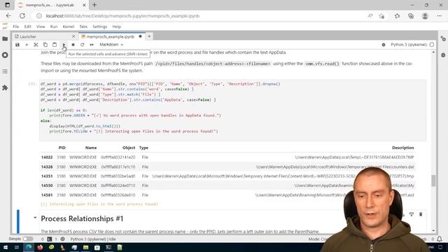 MemProcFS in Jupyter notebooks смотреть онлайн