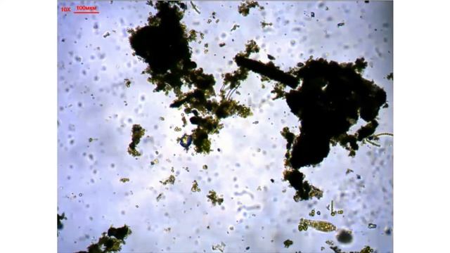 Невидимый мир почвы смотреть онлайн