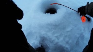 Зимняя рыбалка в Татарстане на реке Кама