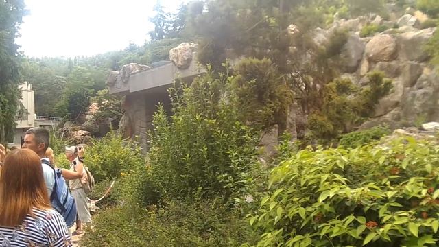 Ялта Партенит Парк Парадиз смотреть онлайн