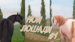 Мои лошади #1|Андалузы и Лузитано|Star Stable
