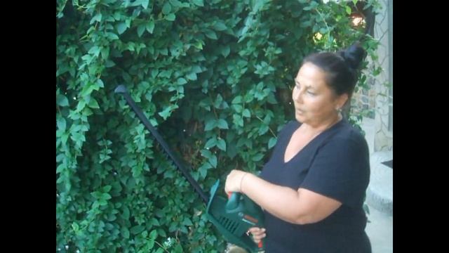 Обзор кустореза Bosch AHS 45-16 смотреть онлайн