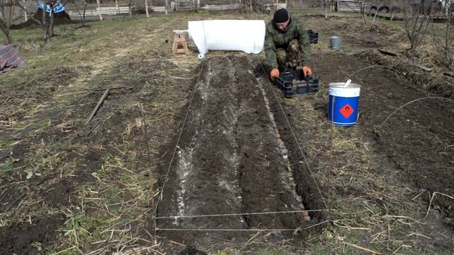 посадка раннего картофеля 5.03.2015 смотреть онлайн