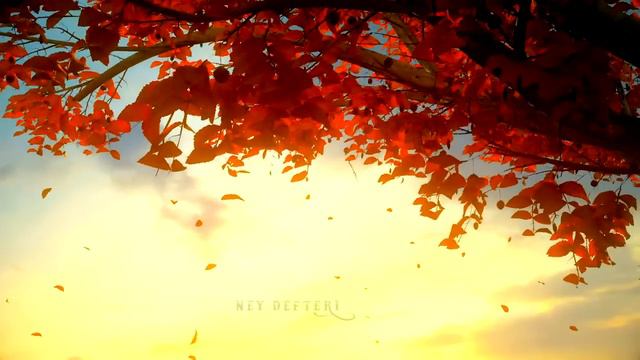 Hercai ♫ (instrumental)