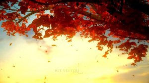 Hercai ♫ (instrumental)