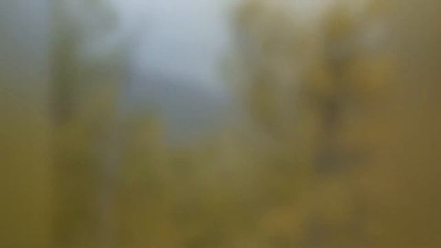 Сугомак (Hello, Dolly!) смотреть онлайн