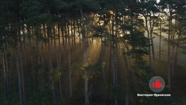 Квантовая медитация, чтобы выйти на новый уровень жизни. Поможет выйти из сложных ситуаций смотреть онлайн